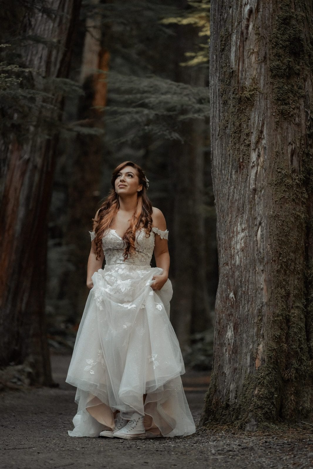 The bride in the old-growth forest