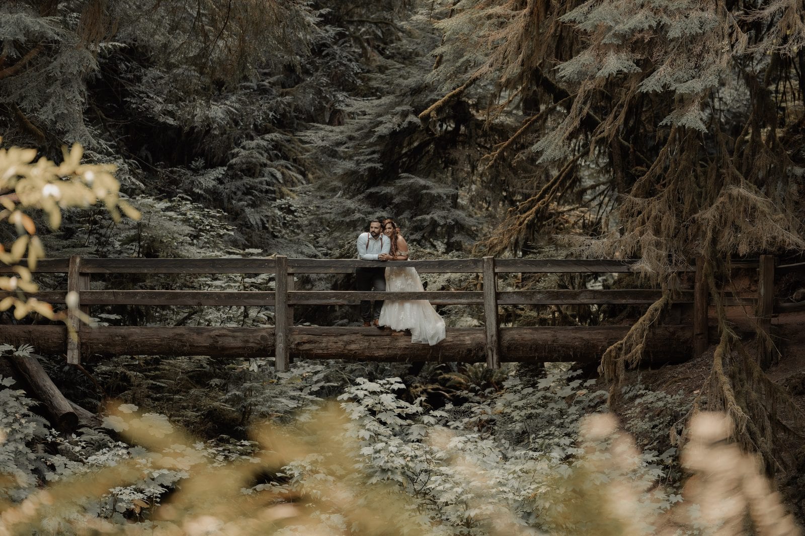 The couple on the footbridge, framed by the forest