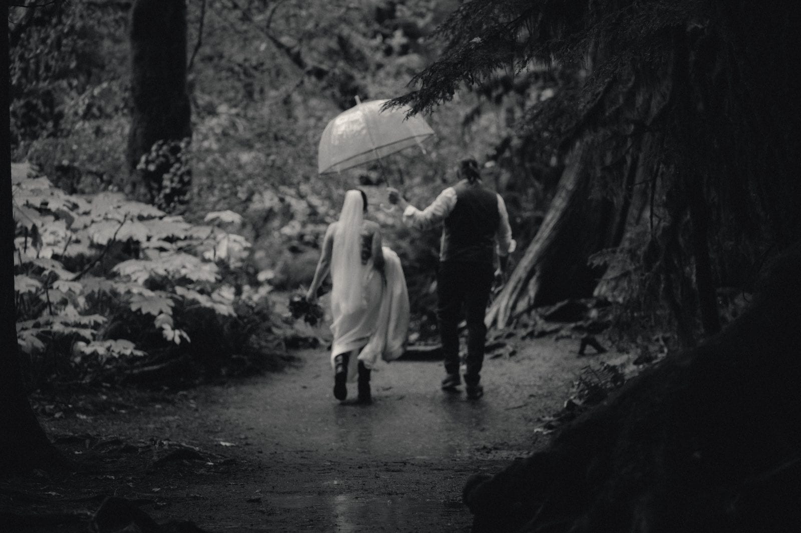 The couple under a clear umbrella on the forest footbridge