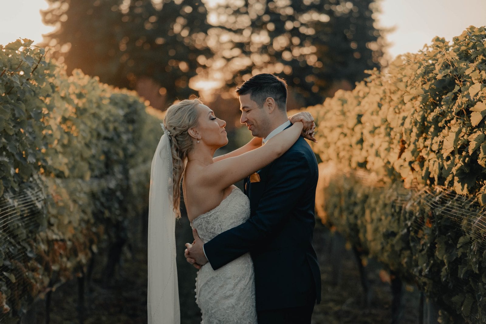 The couple kissing among the vines