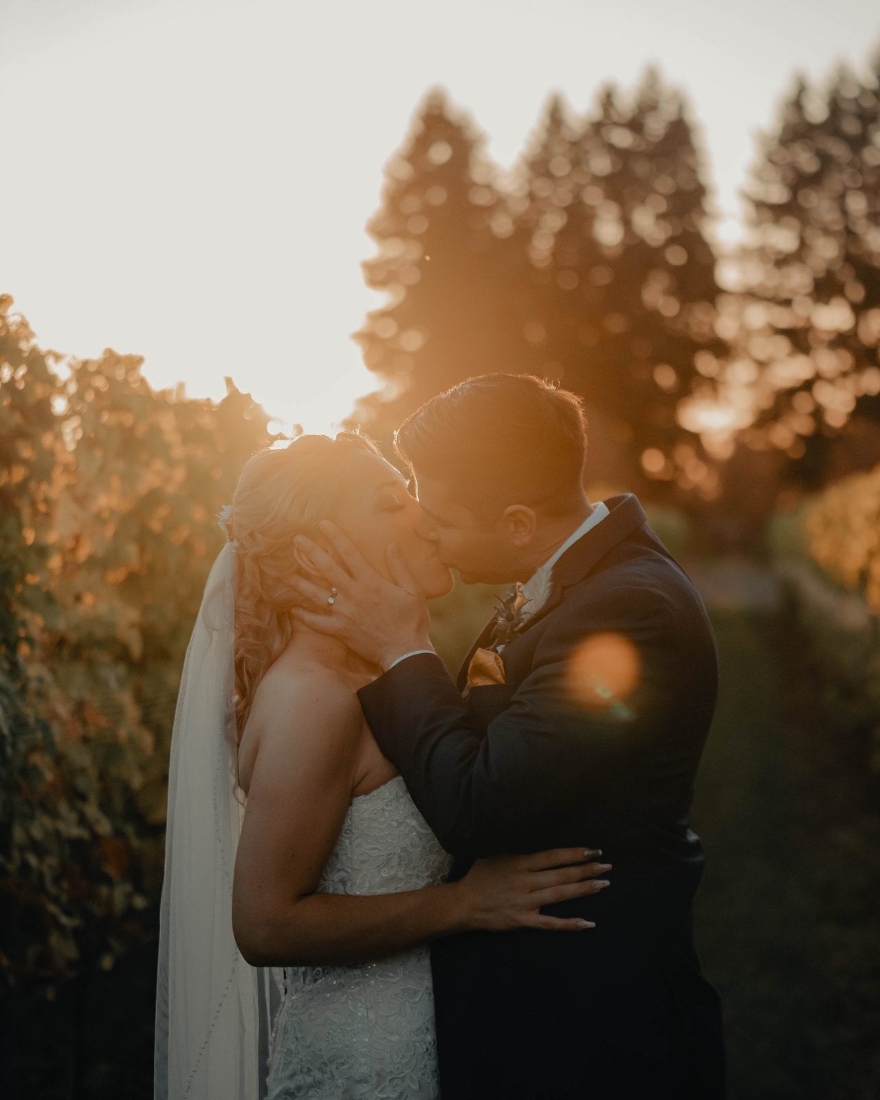 A sunset dip and kiss in the vineyard rows