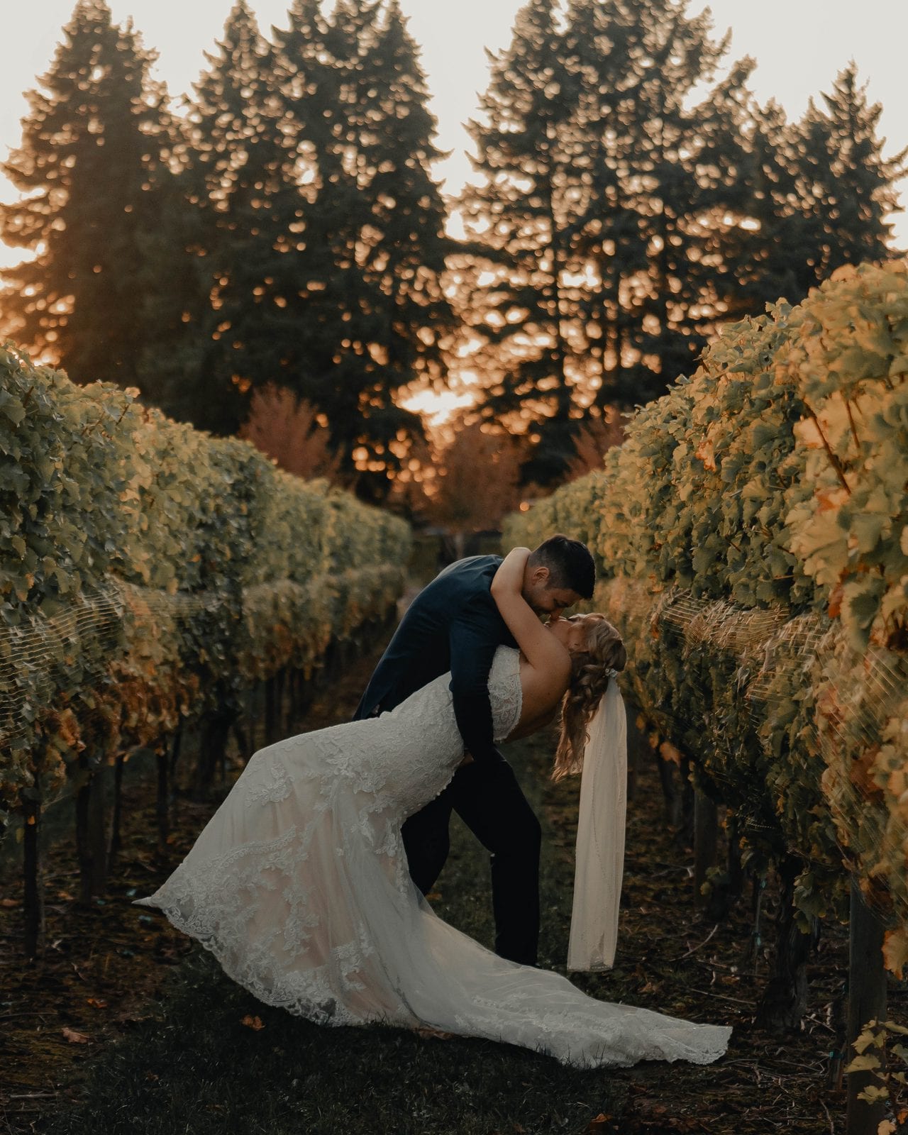 A bridal portrait among the vines