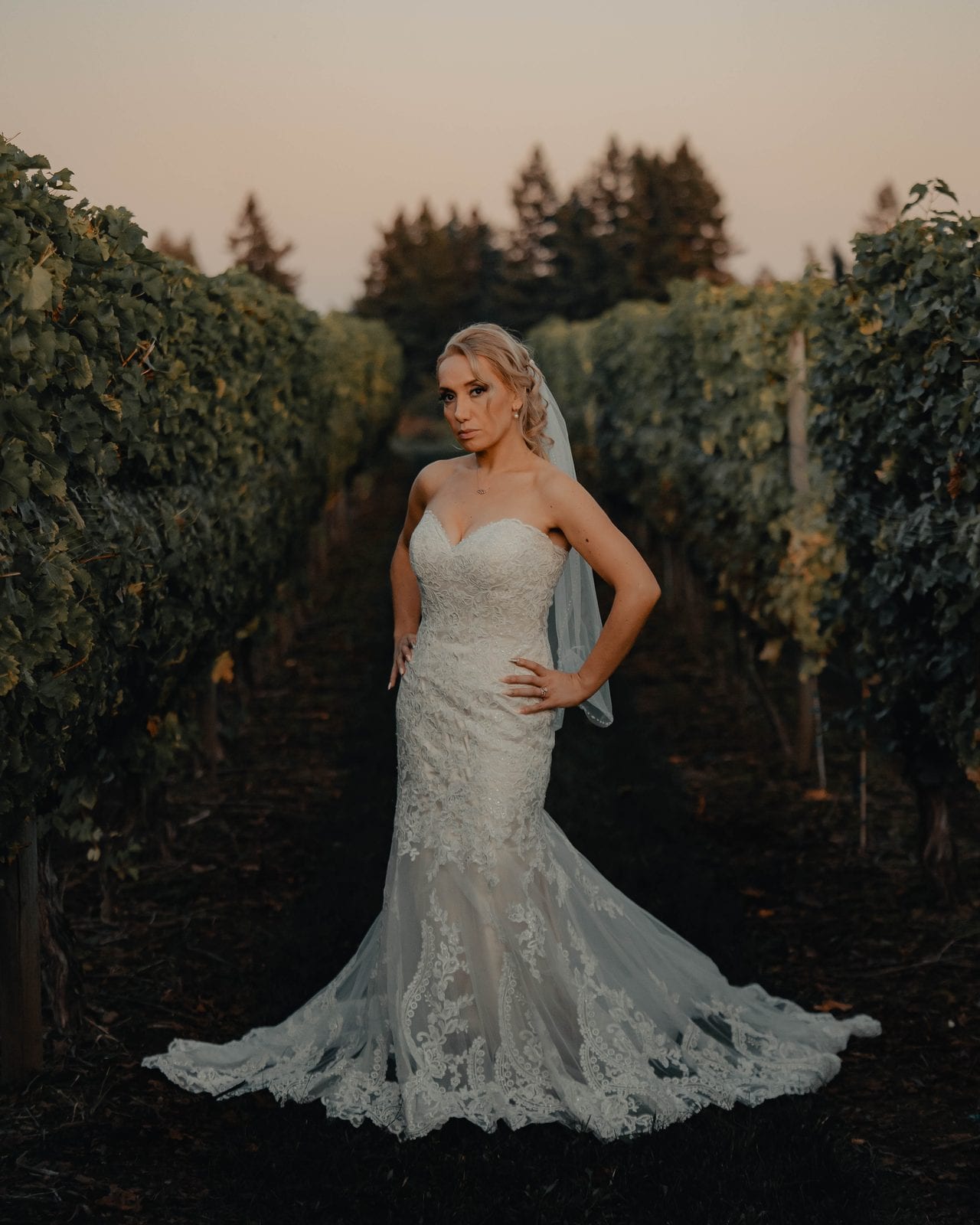 A bridal portrait in the vineyard at dusk